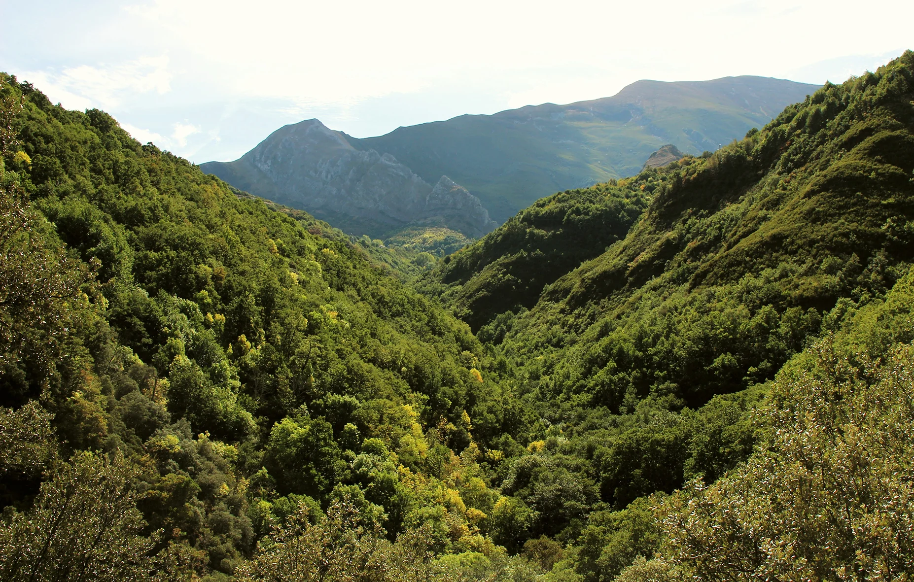 Valle boscoso del Bierzo con las montañas al fondo